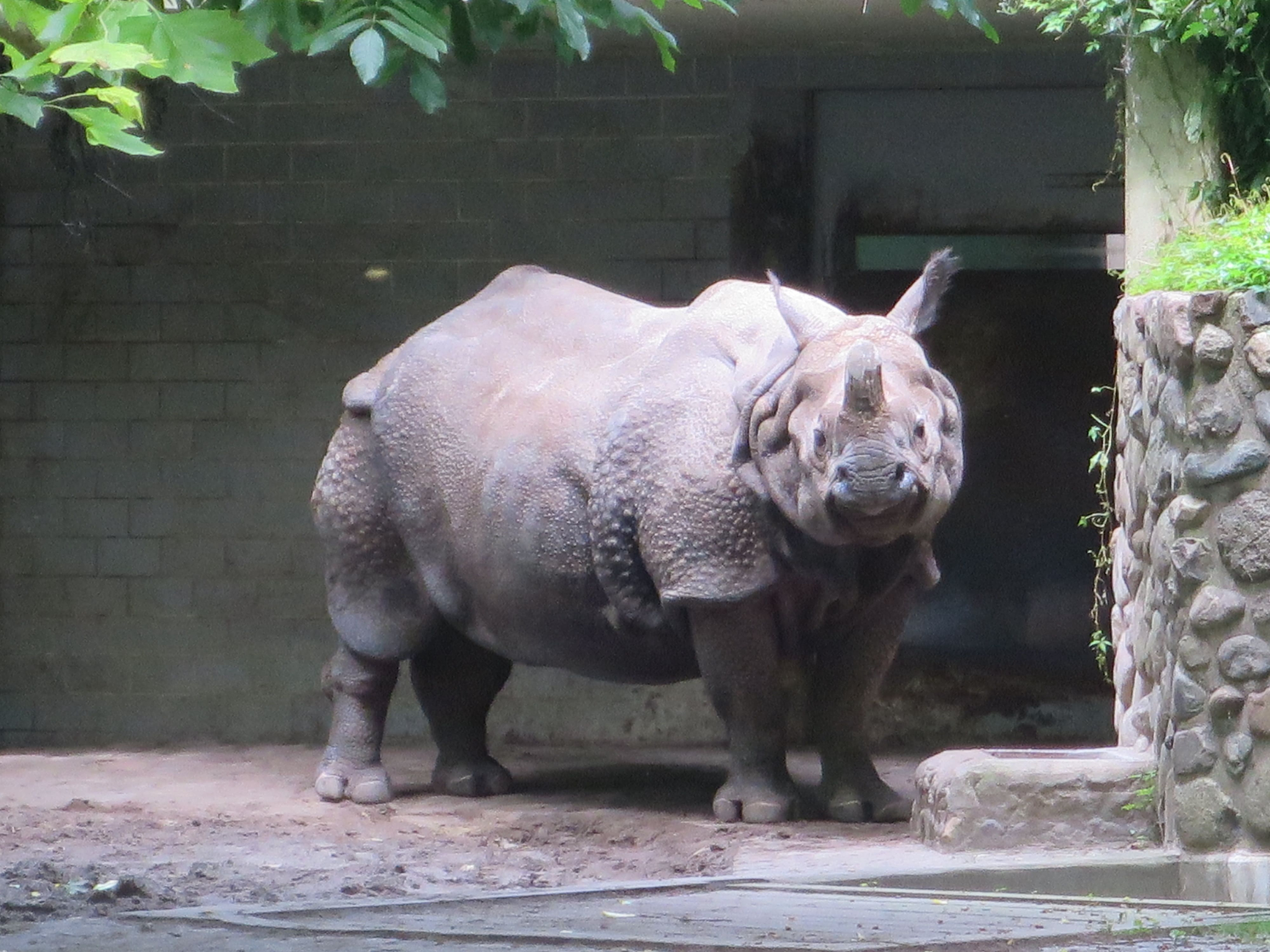 Tierpark Zoo  09
